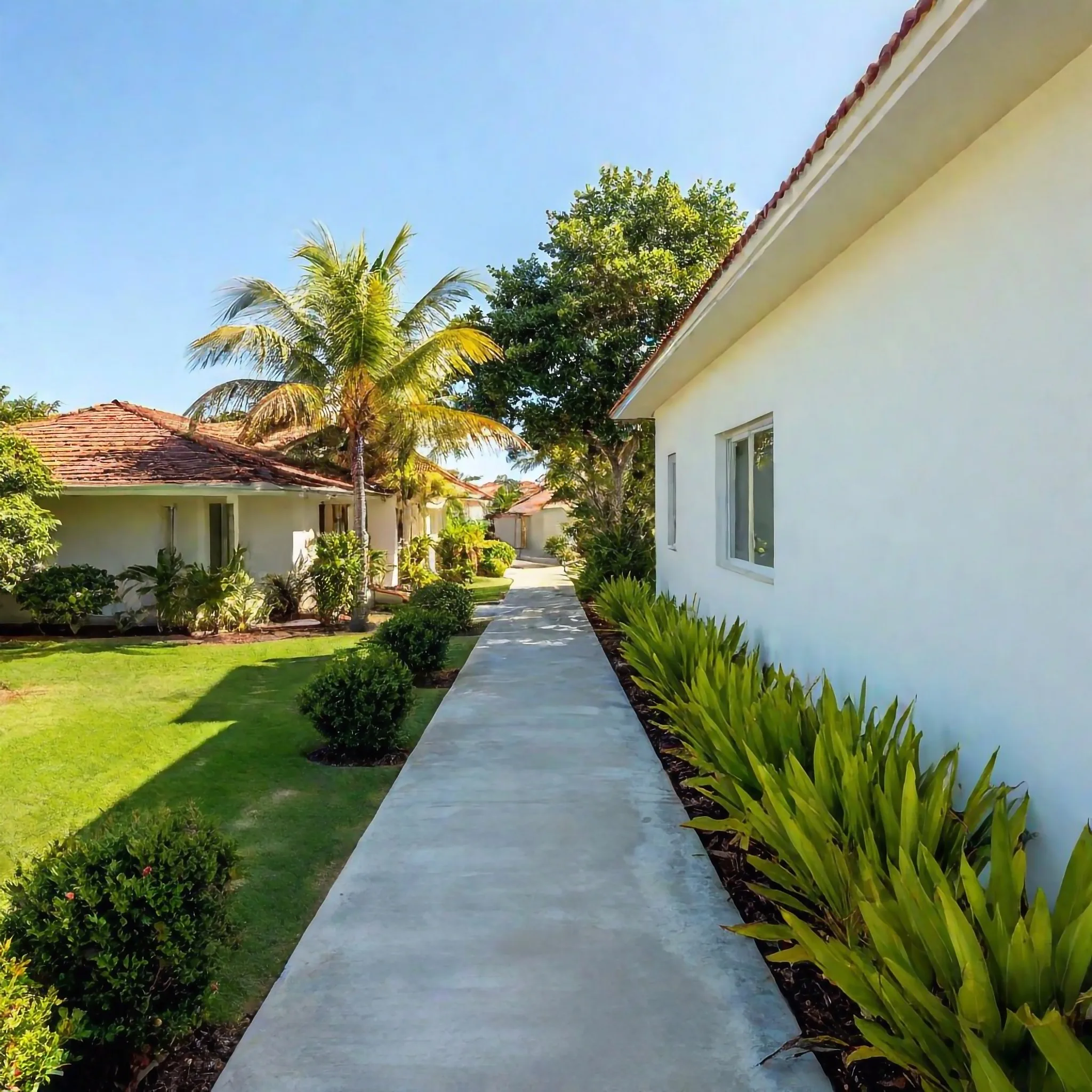 Concrete footpath alongside a driveway