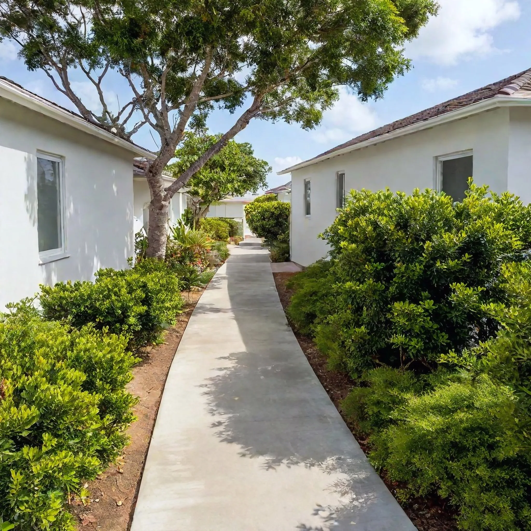 Concrete footpath leading to a front entrance
